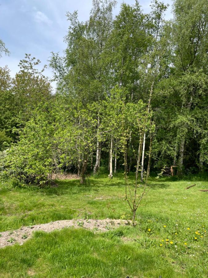 Berits Bed And Breakfast Haderslev Esterno foto